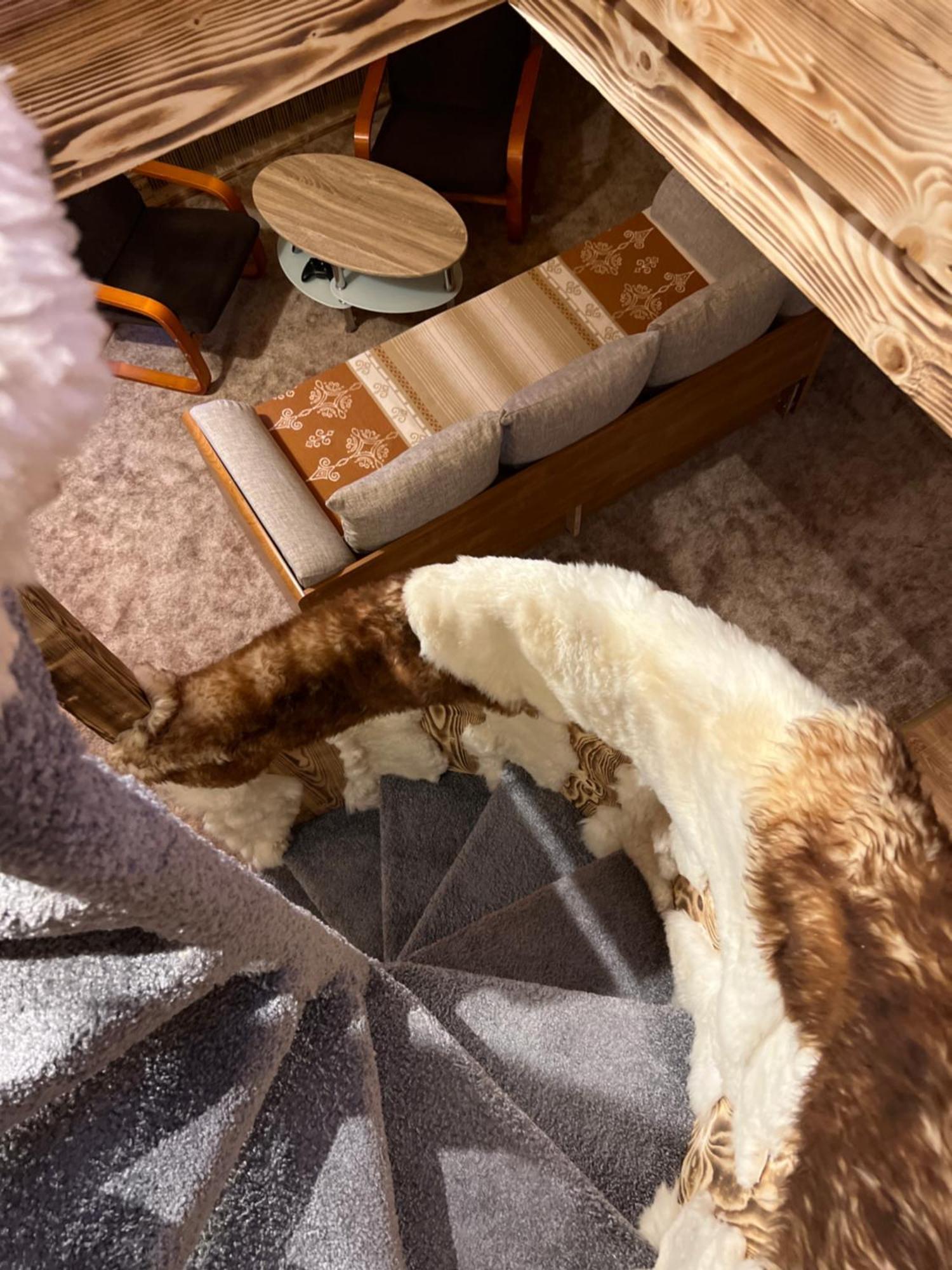 קושצ'ליסקו Apartamenty I Domki Taterka מראה חיצוני תמונה